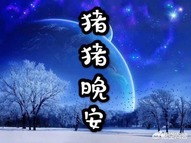 给女友的睡前小故事简短_给女友的睡前小故事简短暖心