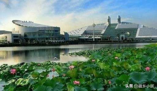 600分什么意思_600分是什么