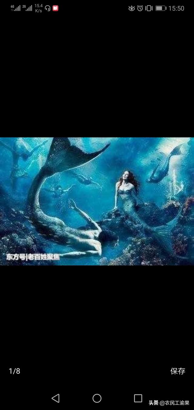 真正的美人鱼_真正的美人鱼长啥样