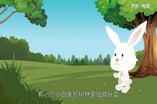 小兔子故事_采蘑菇的小兔子故事