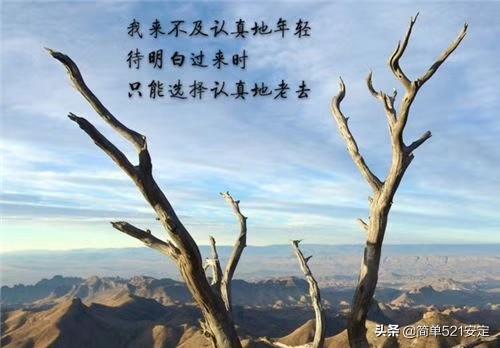 一个等了一生的爱情故事_一个等了一生的爱情故事歌词