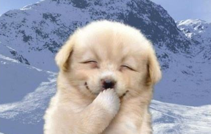 幽默与笑话_幽默与笑话杂志停刊了吗