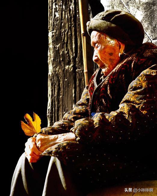 关于母爱的诗句或名言_关于母爱的诗句或名言警句