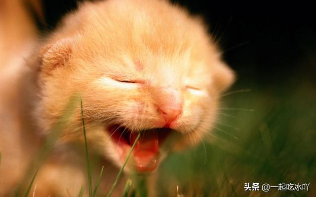 情侣睡前故事搞笑长篇_情侣睡前故事超甜