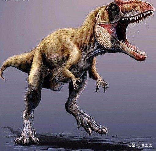 三年级故事大王_三年级故事大王讲故事100篇