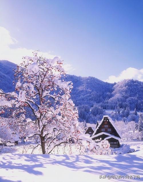 历史故事的成语有什么_历史故事的成语有什么二年级