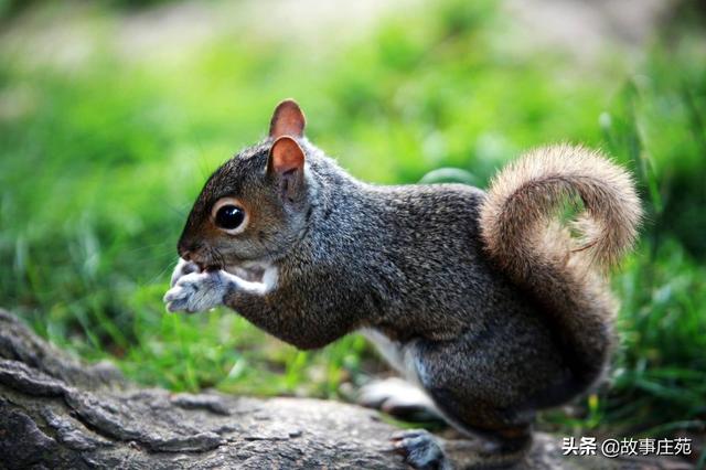 简短故事配图片_简短故事图画
