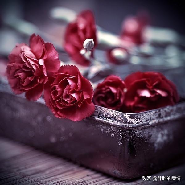 朋友圈励志正能量语录_朋友圈发的正能量励志格言句子