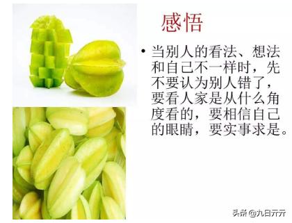 画杨桃告诉我们什么道理_画杨桃告诉我们什么道理名言佳句