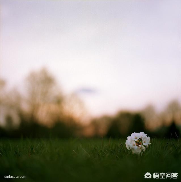 寓言故事作文400字_寓言故事作文400字三年级