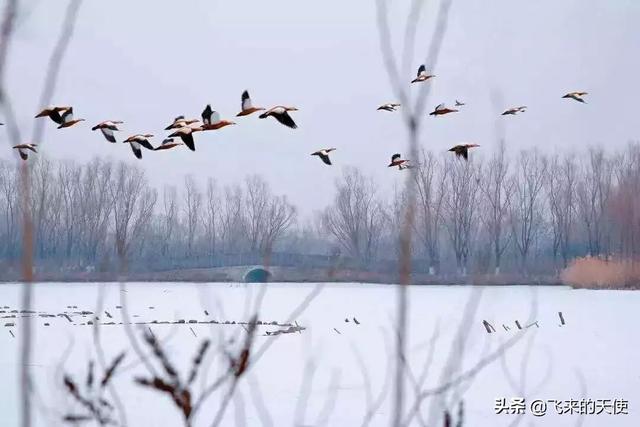 小学生积极向上的故事_适合小学生积极向上正能量的小故事