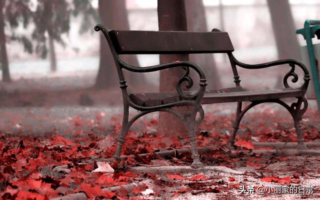 世界上最感人的真实故事_世界上最感人的小故事