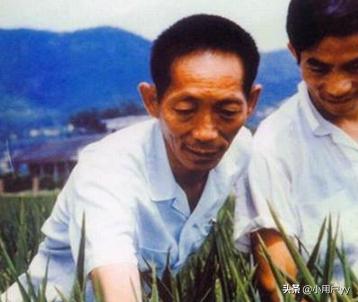 袁隆平的故事40字_袁隆平的故事120字