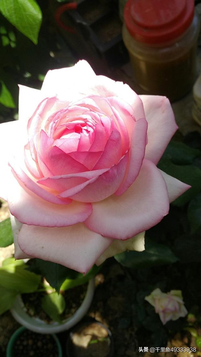 中国史上最著名10对情侣_史上知名八大情侣