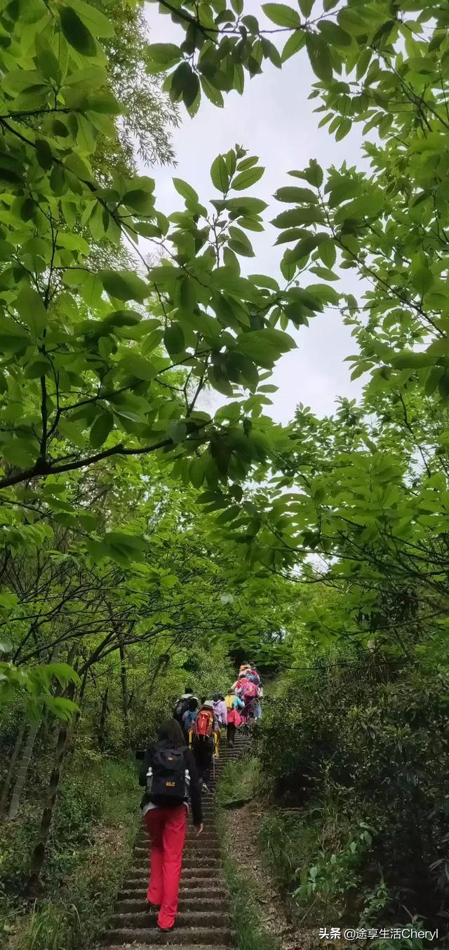 驴友是什么_驴友是什么心态