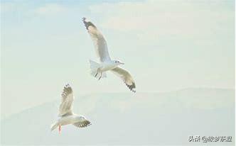 成熟一点的睡前故事_成熟一点的哄睡故事