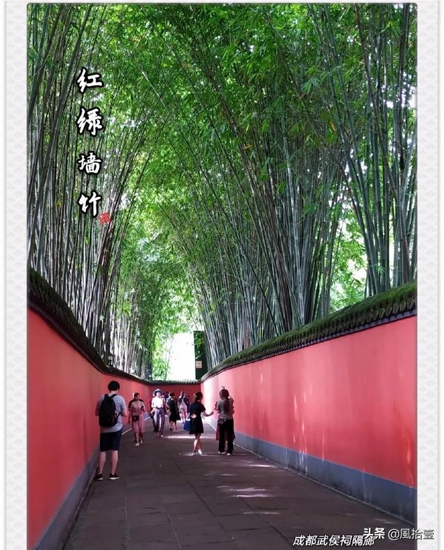 乐不思蜀的故事100字（乐不思蜀典故50字）