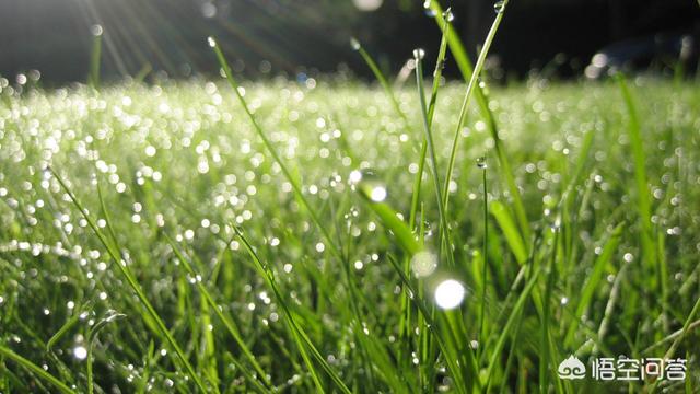 雨后晴天动态图_雨后天晴的图画
