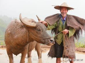 教育故事有哪些_教育 故事