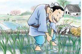 揠苗助长告诉我们什么道理三年级