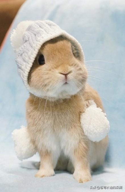 创编一个感人的故事_感人故事编写