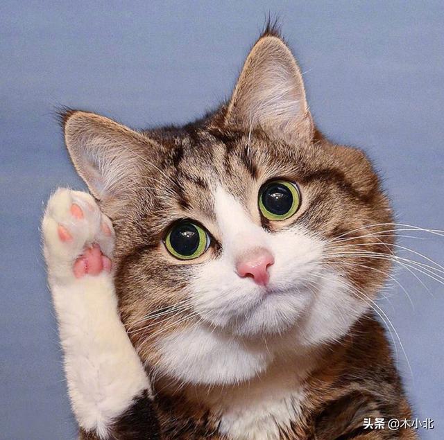 爱情讲故事_讲故事 爱情