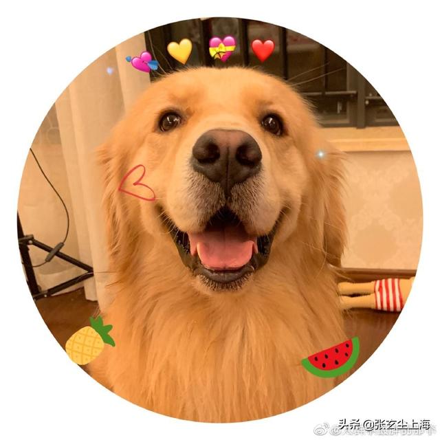 巨蟹座男（巨蟹座男今日运势）