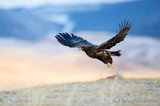 志当存高远的最佳下句（志当存高远的两句话）