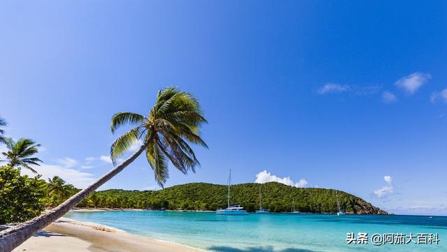 海口免税店有什么值得买的（海口免税店什么比较便宜）