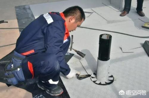 松香的作用与用途（大提琴松香的作用与用途）